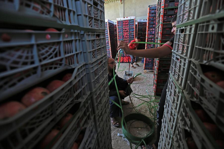 Egypt: Prices of several commodities, vegetables hike on May 20th