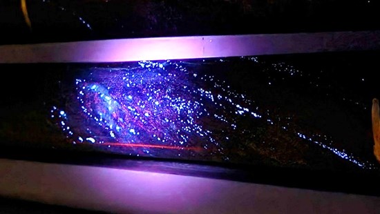 Benz Announces Widespread Tungsten Mineralisation Across the Glenburgh Gold System