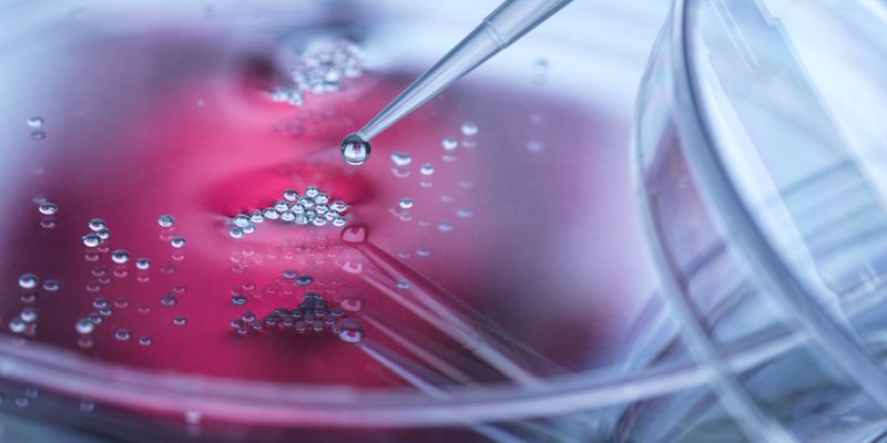 Latham Watkins Represents Vera Therapeutics in Offering of Common Stock