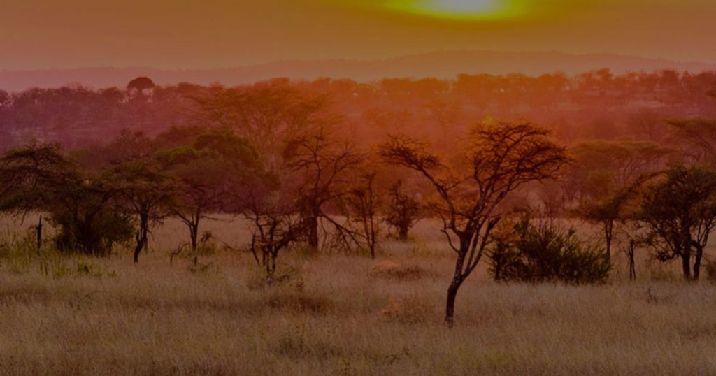 Resource Minerals International to begin drilling at Tanzania copper-gold project in June