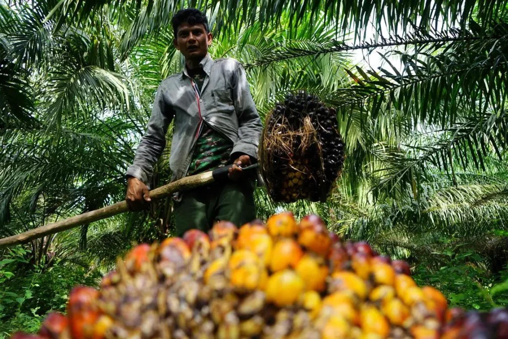 Indonesia to scale back commodity export centralisation