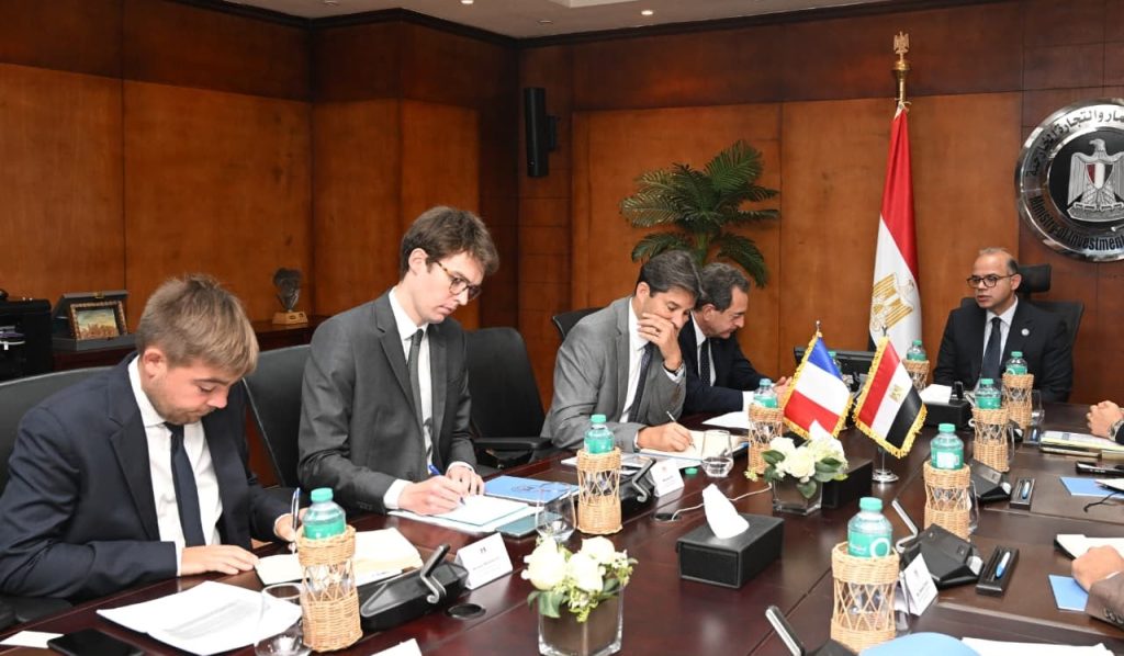 Egypt discusses deepening investment, trade cooperation with France