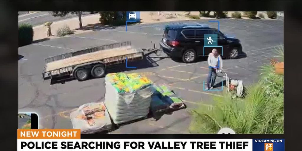 Phoenix-area nurseries hit by ficus tree credit card scam – WDBJ7