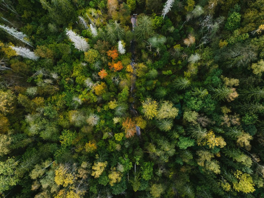 UK moves to simplify climate risk reporting for investors