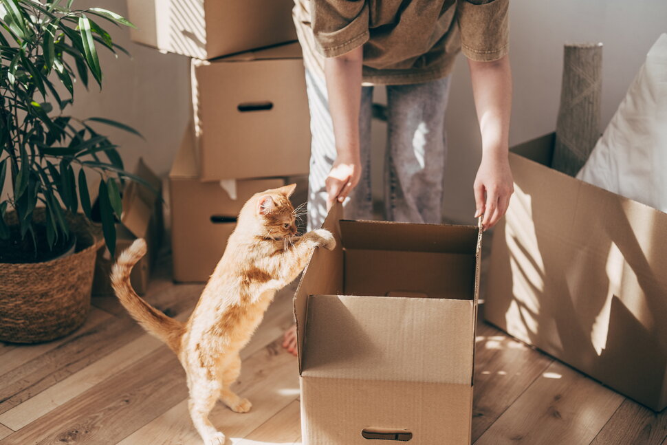 Should Retirees Sell Now? High Prices and Mortgage Rates Can Complicate Downsizing | Retirement