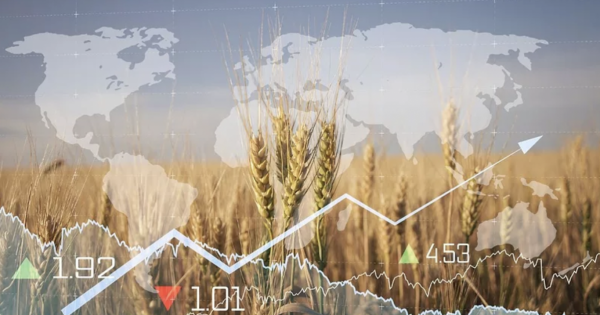 Grain Markets Rally as Global Tensions Ignite Fresh Commodity Price Surge – Agrolatam