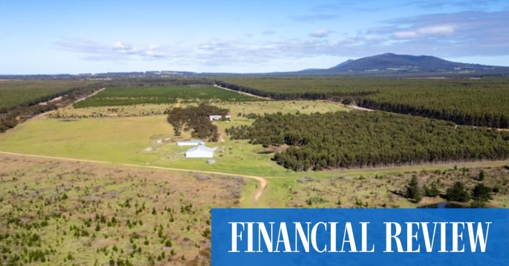 The fight for the family farm is now splitting heirs – AFR