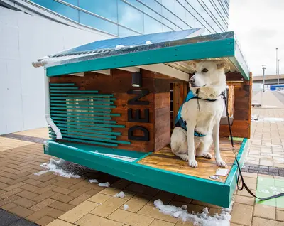 Mansions are going to the dogs