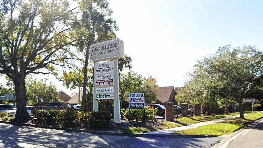 Carrollwood Village Shoppes sold for about $120 million