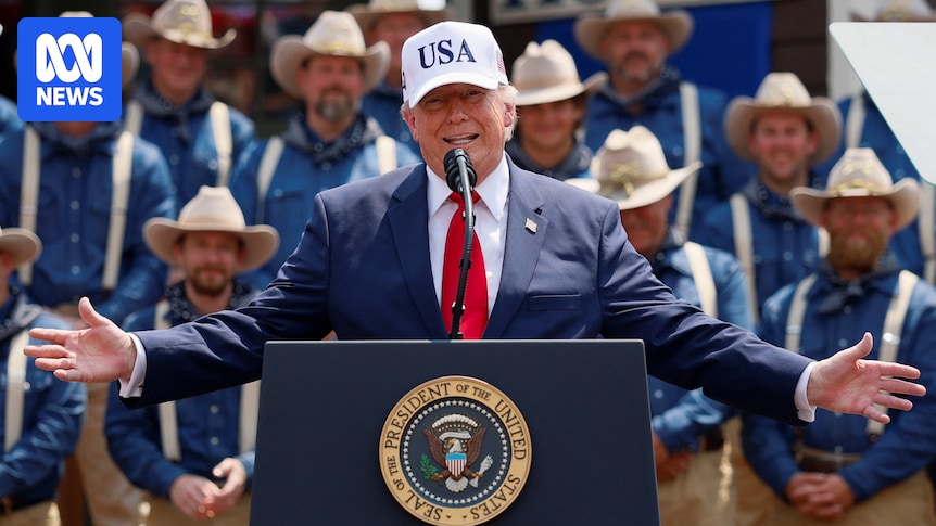 What are meme coins and how has Donald Trump made millions from his own?