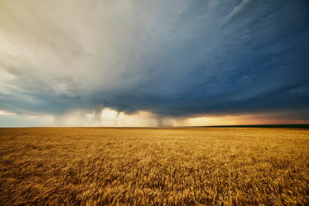 WEAT: Wheat Commodity Exposure Through A Passive Futures Strategy (NYSEARCA:WEAT)