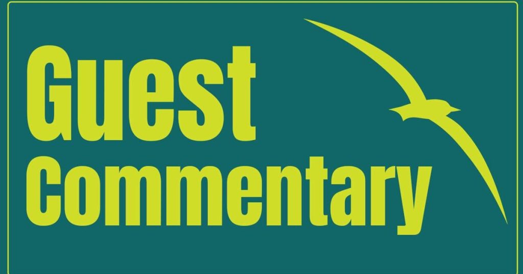 The Vote is In | Guest Commentaries