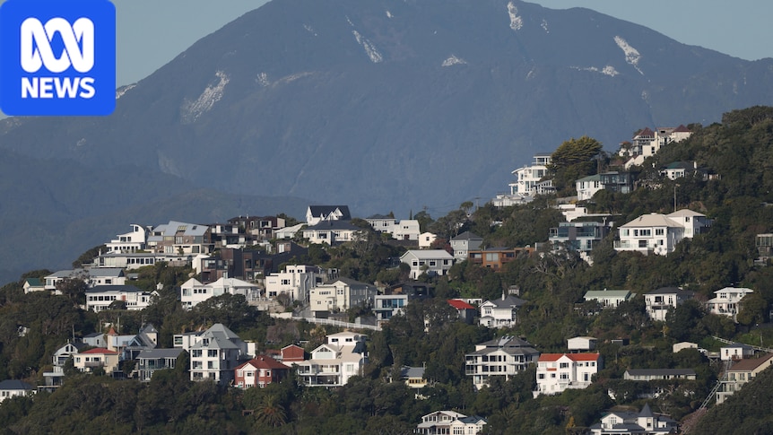 Why the Kiwi and Canadian property bubbles burst and what we can learn