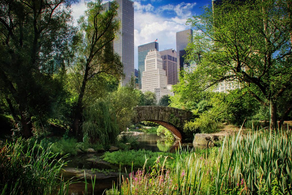 Closing gaps in climate finance | EY