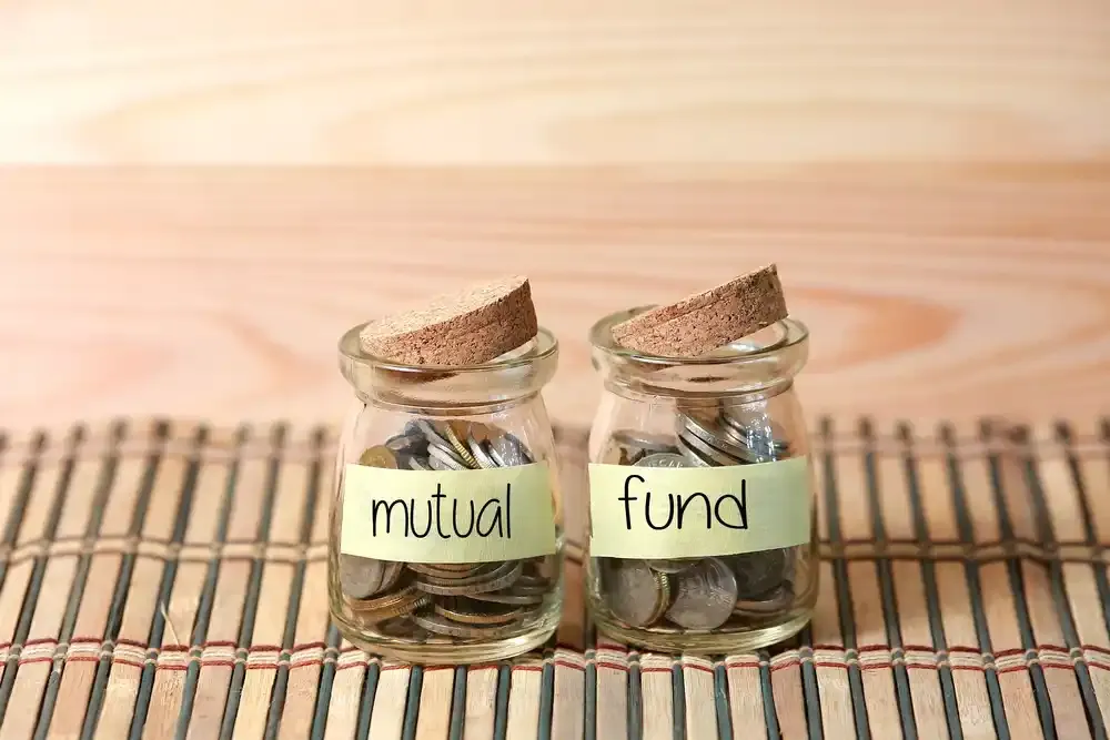 JM Financial Mutual Fund, Aditya Birla suspend fresh subscriptions in 36 IDCW options